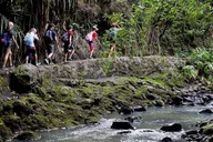 Maui Waterfall Tour with Kayak, Snorkel, and Hike thumbnail 5