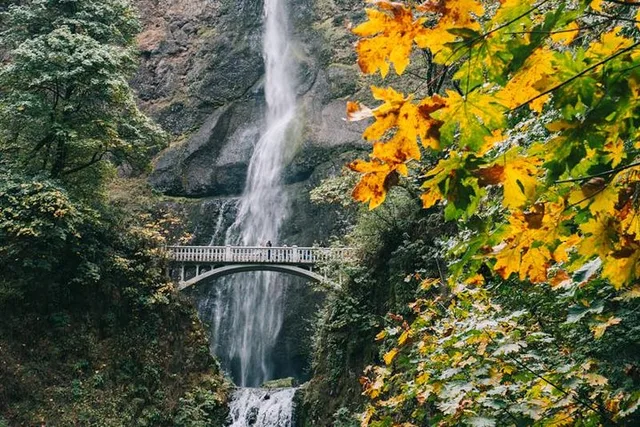 Portland Mt Hood Day Trip to Multnomah Falls - Image 1