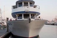 Atlantic City Dolphin Watching Ocean Cruise thumbnail 3