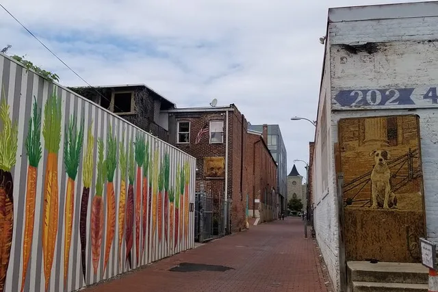 Washington DC Historic Alleyways Walking Tour - Image 6