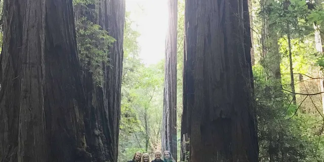 San Francisco Muir Woods Private Jeep Tour 3 hr - Image 1