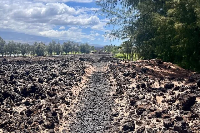 Kona History & Farmer's Market Private Tour 6 hr - Image 6