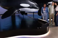 Los Angeles Natural History Museum Entry + Orcas Exhibition thumbnail 5