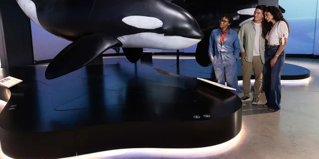 Los Angeles Natural History Museum Entry + Orcas Exhibition - Image 5