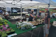 Long Beach Farmers Market Tour & Cooking Class thumbnail 3