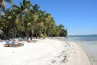 Miami Key Largo and Isla Morada Private Tour thumbnail 1