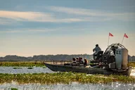 Boggy Creek Airboat Adventure with Gem Mining and Lunch thumbnail 6