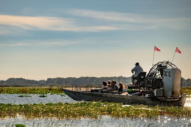 Boggy Creek Airboat Adventure with Gem Mining and Lunch - Image 6