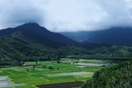 Kauai North Shore Private Guided Tour 6 hr thumbnail 5