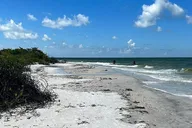 Everglades Shell Wildlife Eco Excursion thumbnail 5