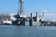 Galveston Historical and Dolphin Tour thumbnail 6