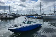 St. Petersburg Dolphin Watching Boat Tour thumbnail 3