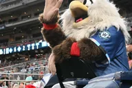 Washington D.C. Baseball Game Ticket thumbnail 3