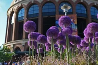 New York City Citi Field Ballpark Tour thumbnail 1