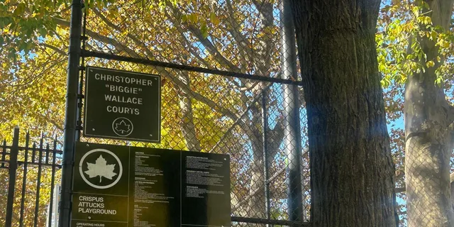 Brooklyn Notorious B.I.G. Walking Tour - Image 5