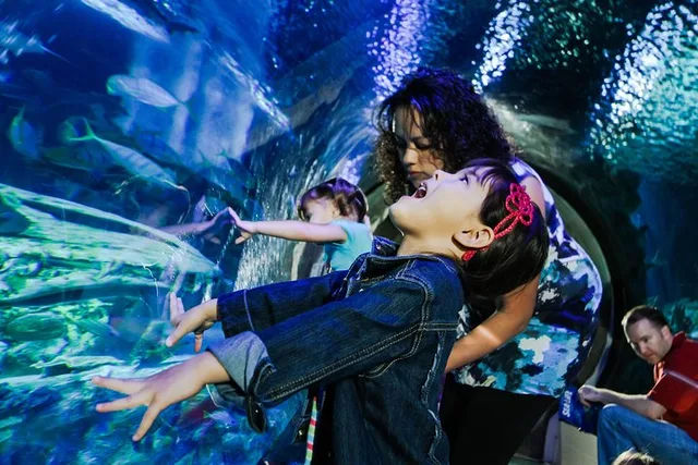 Kansas City Aquarium Admission - Image 6
