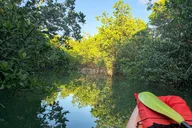 Geiger Key Mangrove Kayak or Paddleboard Adventure thumbnail 5
