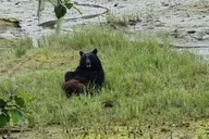 Ketchikan Private Group Tour thumbnail 4