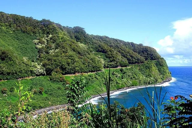 Maui Road to Hana Adventure Day Trip from Oahu - Image 5