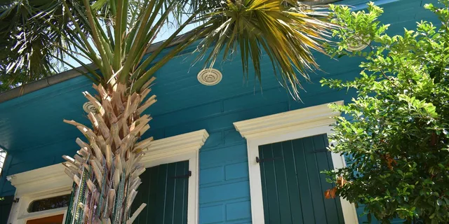New Orleans Marigny Triangle Walking Tour 45 Min - Image 6