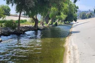 Los Angeles River Eco Tour and Secret Stair Hike thumbnail 5
