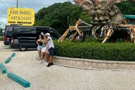 Miami Shuttle Service for Groups and Families thumbnail 6