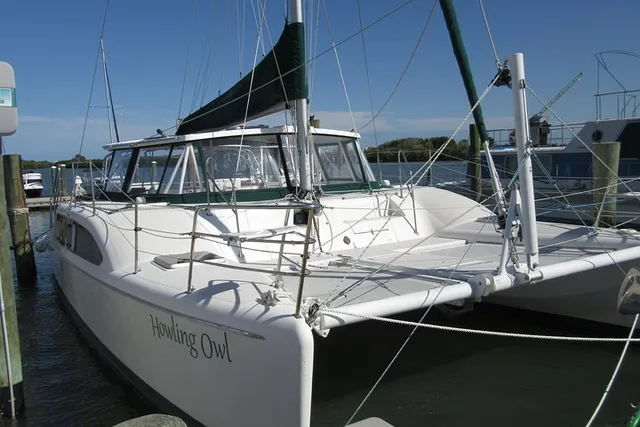 Daytona Beach Catamaran Sailing Dolphin and Manatee Watch - Image 5