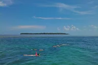 Key West Snorkeling and Dolphin Watching Tour thumbnail 6