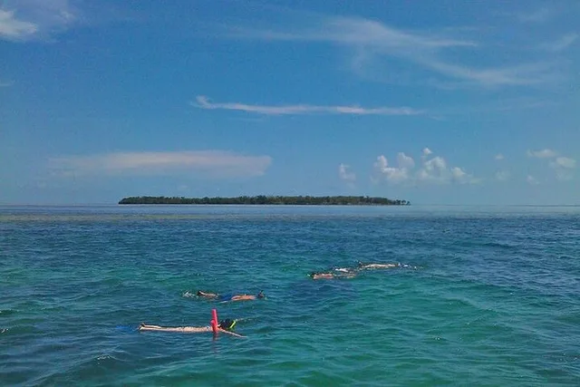 Key West Snorkeling and Dolphin Watching Tour - Image 6
