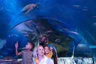 Bloomington Sea Life Minnesota Aquarium Entry thumbnail 5