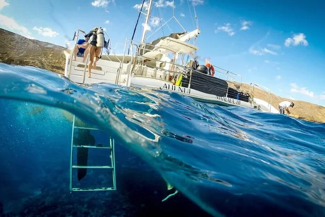 Maui Catamaran Snorkel with Turtles & Tacos - Image 5