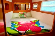 Bimini Catamaran Sail and Snorkel 2 hr thumbnail 3
