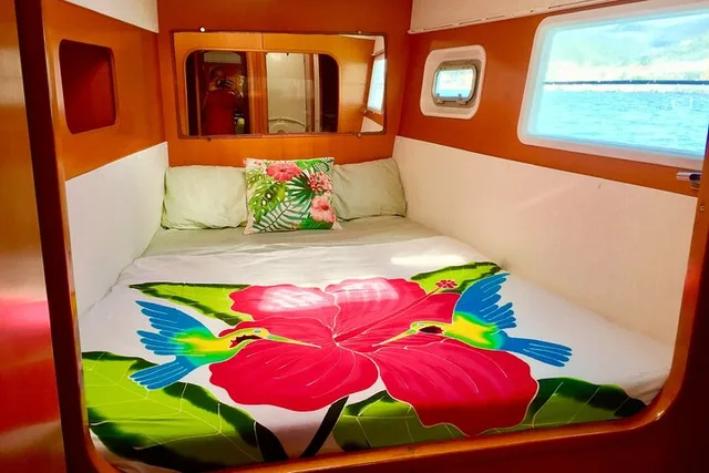 Bimini Catamaran Sail and Snorkel 2 hr - Image 3