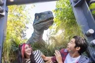Orlando Universal Park Tickets thumbnail 6