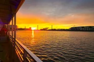 Savannah Dolphin Watching Eco Tour at Sunset thumbnail 6