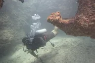 Honolulu Open Water Scuba Certification thumbnail 4