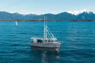 Sitka Marine Wildlife Tour thumbnail 4