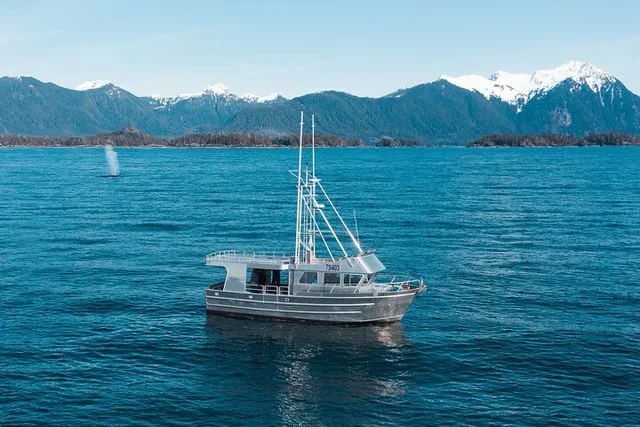 Sitka Marine Wildlife Tour - Image 4