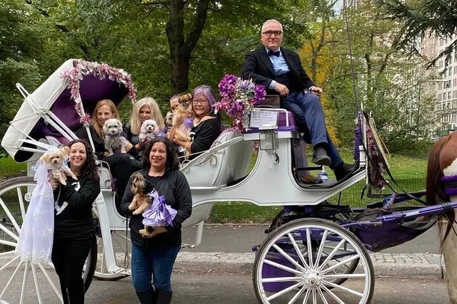 NYC Central Park Horse and Carriage Ride - Image 5