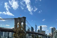New York City Walking Tour of Midtown, Lower Manhattan, and Brooklyn Bridge thumbnail 3