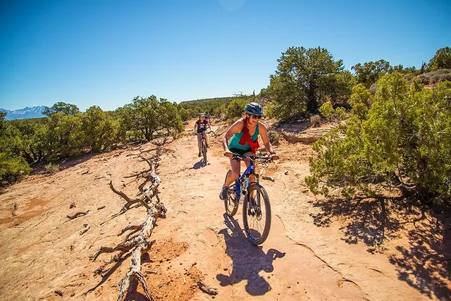 Moab Mountain Biking Tour Intermediate 4 hr - Image 3