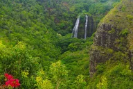Kauai Waimea Canyon & Wailua River Day Trip thumbnail 3