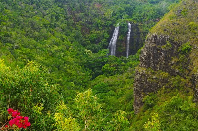 Kauai Waimea Canyon & Wailua River Day Trip - Image 3