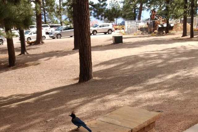 Bryce Canyon E-bike Tour - Image 3