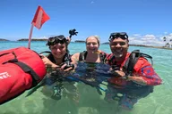 Honolulu Scuba Diving Experience with Video Package thumbnail 4