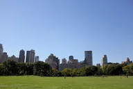 New York Family Walking Adventure thumbnail 5