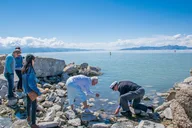 Salt Lake City Great Salt Lake Guided Bus Tour 2 hr thumbnail 2