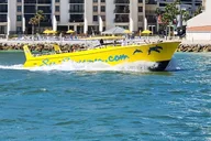 Clearwater Dolphin Watching Speed Boat Tour thumbnail 6