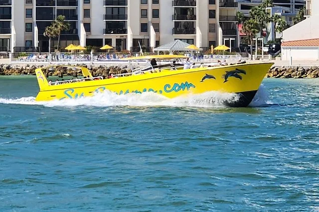 Clearwater Dolphin Watching Speed Boat Tour - Image 6