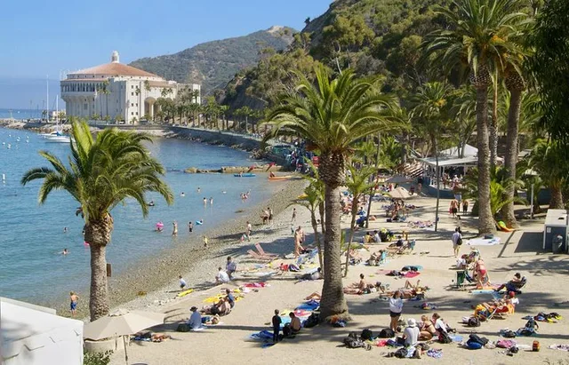 Catalina Island Avalon Scenic Tour - Image 2